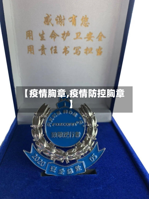 【疫情胸章,疫情防控胸章】