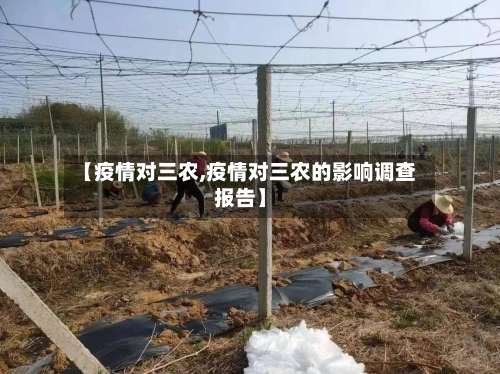 【疫情对三农,疫情对三农的影响调查报告】-第2张图片