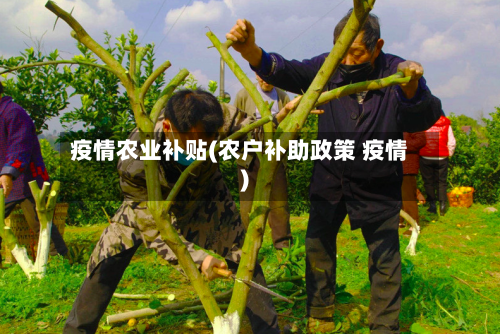 疫情农业补贴(农户补助政策 疫情)