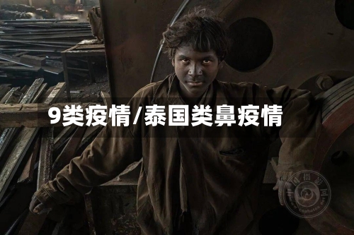 9类疫情/泰国类鼻疫情-第2张图片