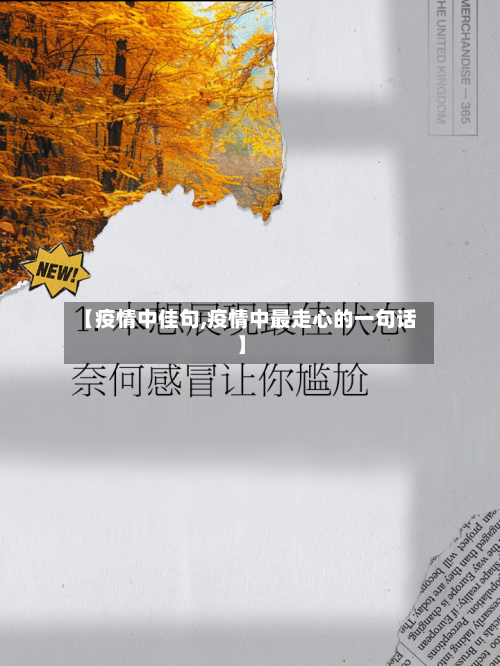 【疫情中佳句,疫情中最走心的一句话】-第2张图片