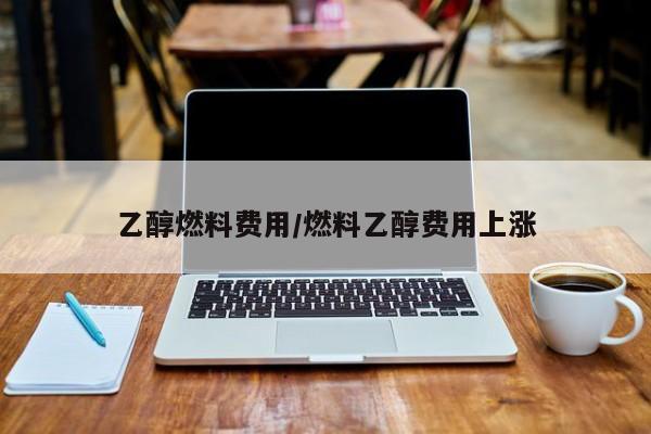 乙醇燃料费用/燃料乙醇费用上涨